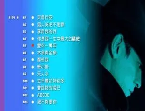 刘德华卡拉OK精选8 DVD音乐专辑 3.19G 百度网盘资源