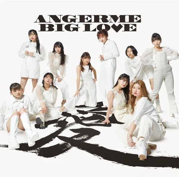 [アンジュルム ANGERME – BIG LOVE 2023][24bit-96kHz][Hi-Res Flac][1.96GB][百度网盘]