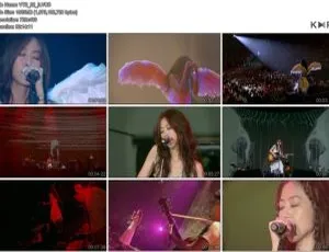 陈绮贞 2012 夏季练习曲香港演唱会 DVD 5.8G 百度网盘资源-小文资源网
