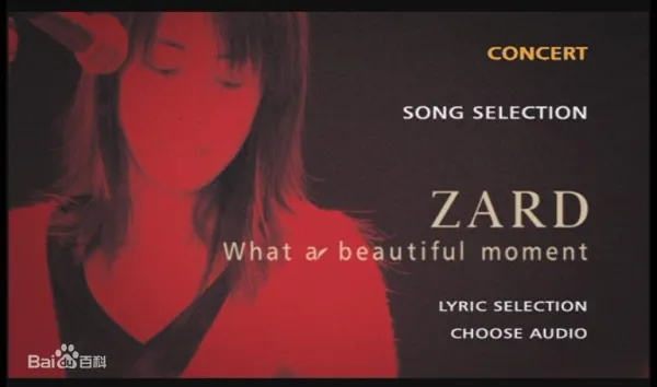 [DVD日本演唱会][坂井泉水 ZARD – What a beautiful moment 2004演唱会][DVD ISO 7.45G+1.35G][百度网盘]