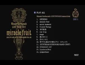 栗林美奈实 2011 日本演唱会 2DVD-ISO 资源 共 11.3G 百度网盘下载