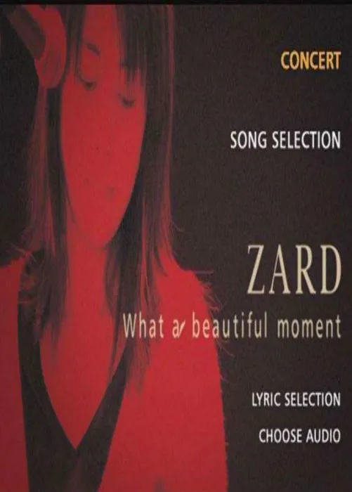 [DVD日本演唱会][阪井泉水 – 2004美丽的时刻巡回演唱会][DVD/ISO][4.33G][百度网盘]