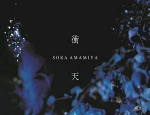 雨宫天《衝天 2024》24Bit-96kHz Hi-Res Flac 378MB 百度网盘资源