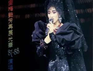 5.87G！梅艳芳百变梅艳芳再展光华87–88香港演唱会DVD_ISO百度网盘资源
