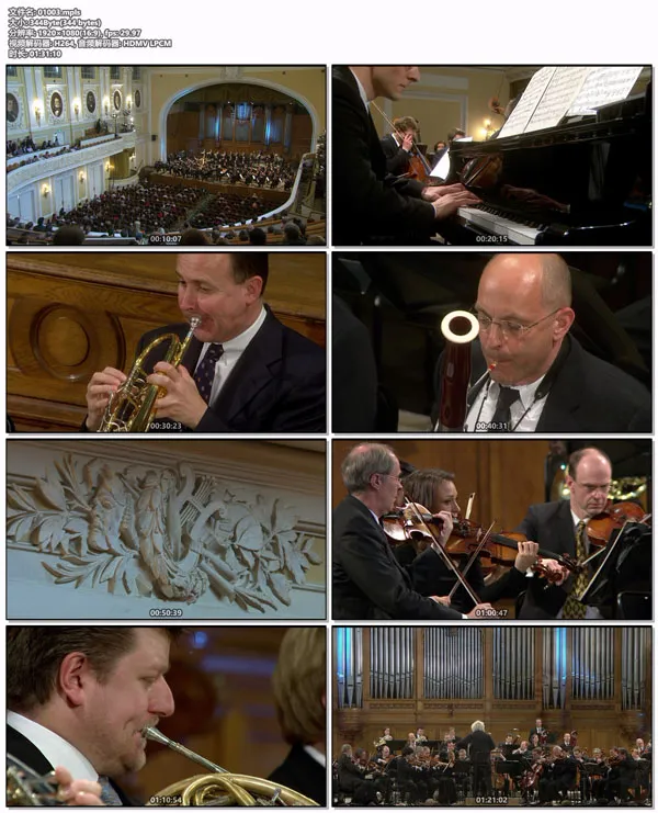 [BD欧美演唱会][欧洲音乐会 Europakonzert 2008 from Moscow][BDMV][21.9GB][百度网盘]