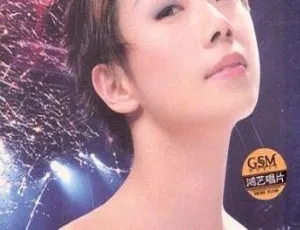 林忆莲 2002 香港忆莲演唱会 DVD 4.2G 百度网盘资源