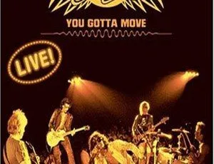 Aerosmith《Live You Gotta Move》DVD音乐专辑碟 4.33G 百度网盘资源