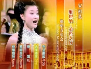 宋祖英维也纳金色大厅独唱音乐会 2DVD-ISO 欧美演唱会资源 百度网盘 7.67G 下载-小文资源网