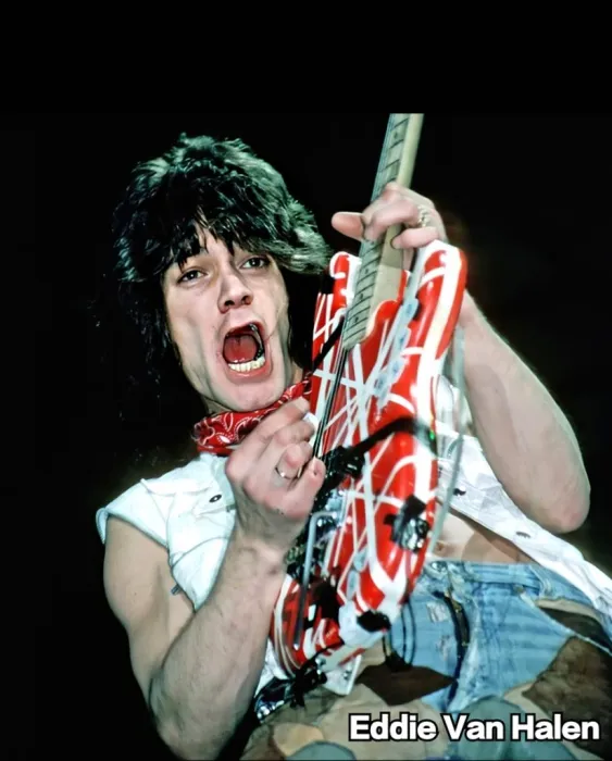[DVD欧美演唱会][范海伦大合集/Van Halen/Live/MV][24DVD-ISO][153.66GB][百度网盘]