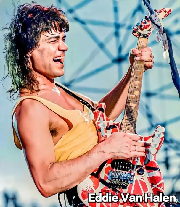 [DVD欧美演唱会][范海伦大合集/Van Halen/Live/MV][24DVD-ISO][153.66GB][百度网盘]
