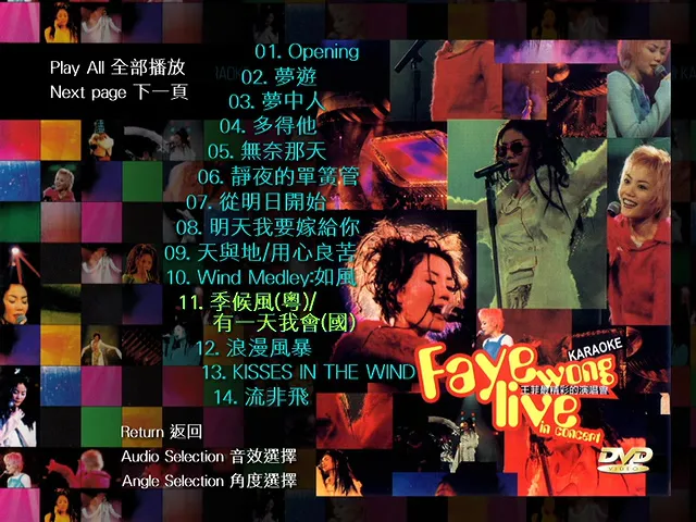 [DVD香港演唱会][王菲 – 1994最精彩演唱会 港版][DVD_ISO][6.26G][百度网盘]