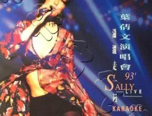 1993叶倩文香港潇洒走一回演唱会DVD 6.69G 百度网盘资源-小文资源网