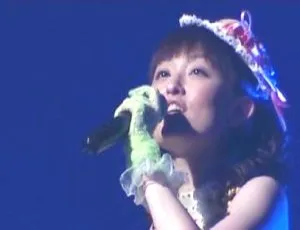 田村由香 2006 日本演唱会 DVD 资源 3.87G 百度网盘分享-小文资源网