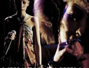 中岛美嘉2005日本演唱会 DVD-ISO 7.44G 百度网盘资源-小文资源网