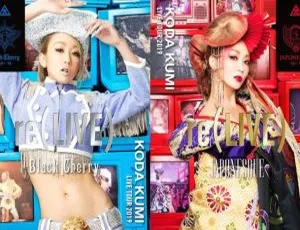 倖田来未2019演唱会BD资源：Black Cherry+JAPONESQUE 77.7G 百度网盘-小文资源网