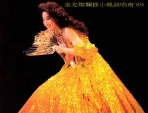 1989 徐小凤香港金光灿烂演唱会 DVD 资源 4.78G 百度网盘下载-小文资源网