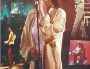 2008坂井泉水日本演唱会 DVD-ISO 4.36G 百度网盘资源