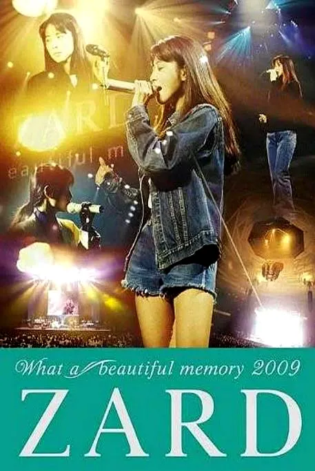 [DVD日本演唱会][坂井泉水さかい いずみ-2009演唱会][DVD-ISO][4.36G][百度网盘]
