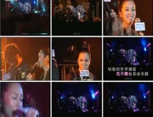 谢安琪 2007 香港第一天 live 音乐会 DVD 双角度 7.75G 百度网盘资源-小文资源网