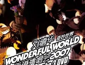 刘德华 2007 香港奇妙世界 Wonderful World 演唱会 DVD 资源 5.54G 百度网盘-小文资源网