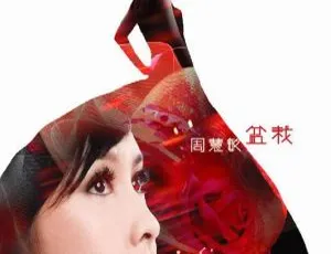 周慧敏《盆栽》DVD音乐专辑碟 949.3M 百度网盘资源
