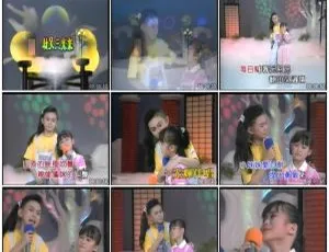 卓依婷专辑8情歌对唱KTV版3.66G DVD音乐碟 百度网盘资源-小文资源网