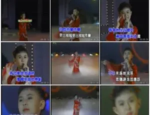 小卓依婷KTV必备DVD音乐专辑2 3.52G百度网盘资源