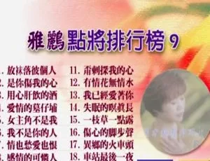 KTV必听！群星《雅鹂点将排行榜9》DVD音乐专辑碟 4.29G百度网盘资源-小文资源网