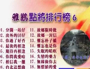 群星《雅鹂点将排行榜6》KTV必备DVD音乐专辑 4.29G 百度网盘资源