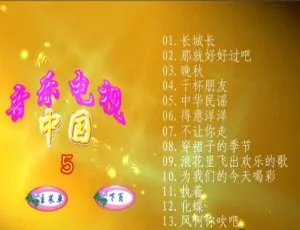 群星《中国音乐电视5》DVD音乐专辑碟 4.23G 百度网盘资源