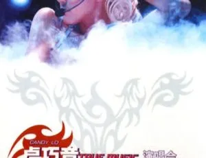 卢巧音 2003香港True Music 1st Flight Live演唱会DVD ISO 6.29G 百度网盘资源