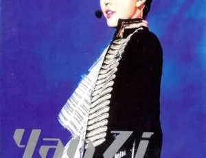 孙燕姿 2002 Start 香港演唱会 DVD-ISO 6.29GB 百度网盘资源
