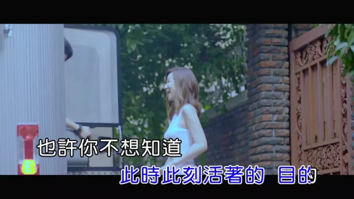 [2018][内地][国语-MV][THE LIGHTERS-送给你FOR YOU][MPG][107MB][百度网盘]