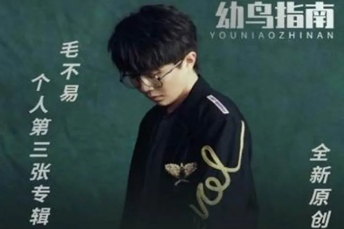 音乐专辑[幼鸟指南]毛不易[22首]音频合集[百度云网盘下载]