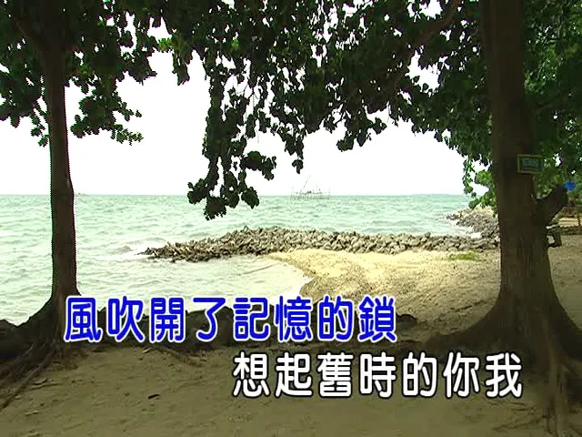 [2017][内地][国语-MV][郁可唯-思慕][MPG][238MB][百度网盘]