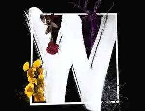 2018内地张千C.Jam《W》FLAC分轨289.8M 百度盘资源