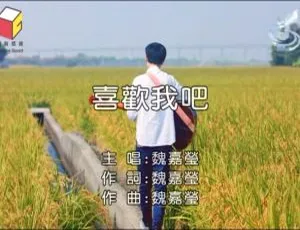 2017 内地魏嘉莹《喜欢我吧》国语 MV 207MB 百度网盘资源-小文资源网