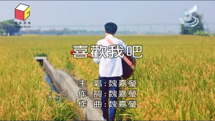 [2017][内地][国语-MV][魏嘉莹-喜欢我吧][MPG][207MB][百度网盘]