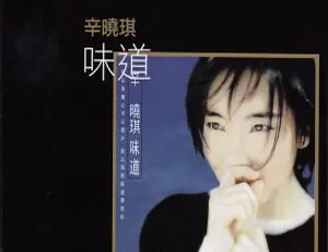 辛晓琪《味道K2HD》限量版 290.1M WAV_CUE 百度盘资源-小文资源网