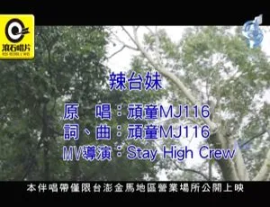 2017内地国语MV：顽童MJ116《辣台妹》552MB百度网盘资源-小文资源网