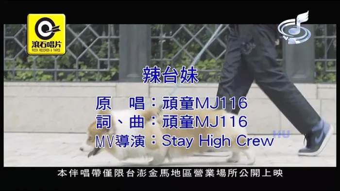 [2017][内地][国语-MV][顽童MJ116-辣台妹][MPG][234MB][百度网盘]
