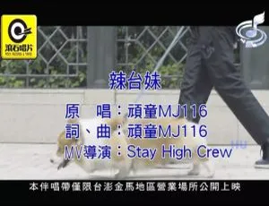2017 内地国语 MV：顽童 MJ116《辣台妹》234MB 百度网盘资源-小文资源网