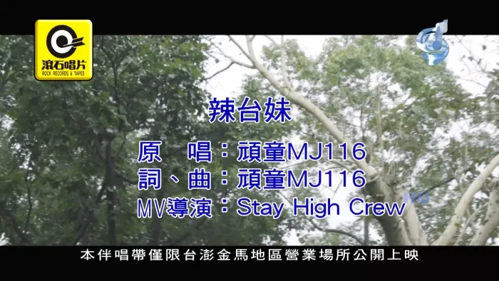 [2017][内地][国语-MV][顽童MJ116-辣台妹][MPG][552MB][百度网盘]