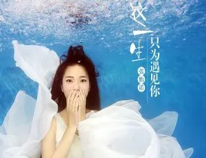 2018香港张怡诺《这一生只为遇见你》FLAC分轨281.5M 百度盘资源-小文资源网