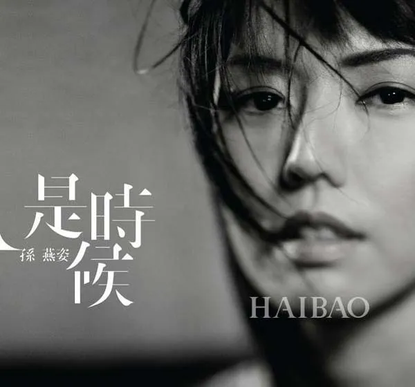 孙燕姿 出道以来的19CD合集+DIY自选集 无损