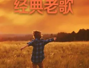 180首经典老歌MP3压缩包1.72GB 百度云网盘下载