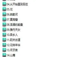 百度云盘！女子十二乐坊16首精选演奏曲目MP3 166.68MB免费下载-小文资源网