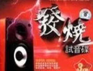 500张DTS格式CD发烧试音碟！无损歌曲合集百度云下载（232.97GB）-小文资源网
