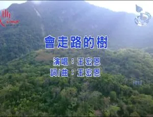 2017 内地王宏恩《会走路的树》国语 MV 210MB 百度网盘资源-小文资源网