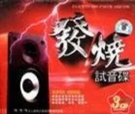 发烧试音碟[500张DTS格式CD]无损歌曲合集[百度云网盘下载][DTS232.97GB]